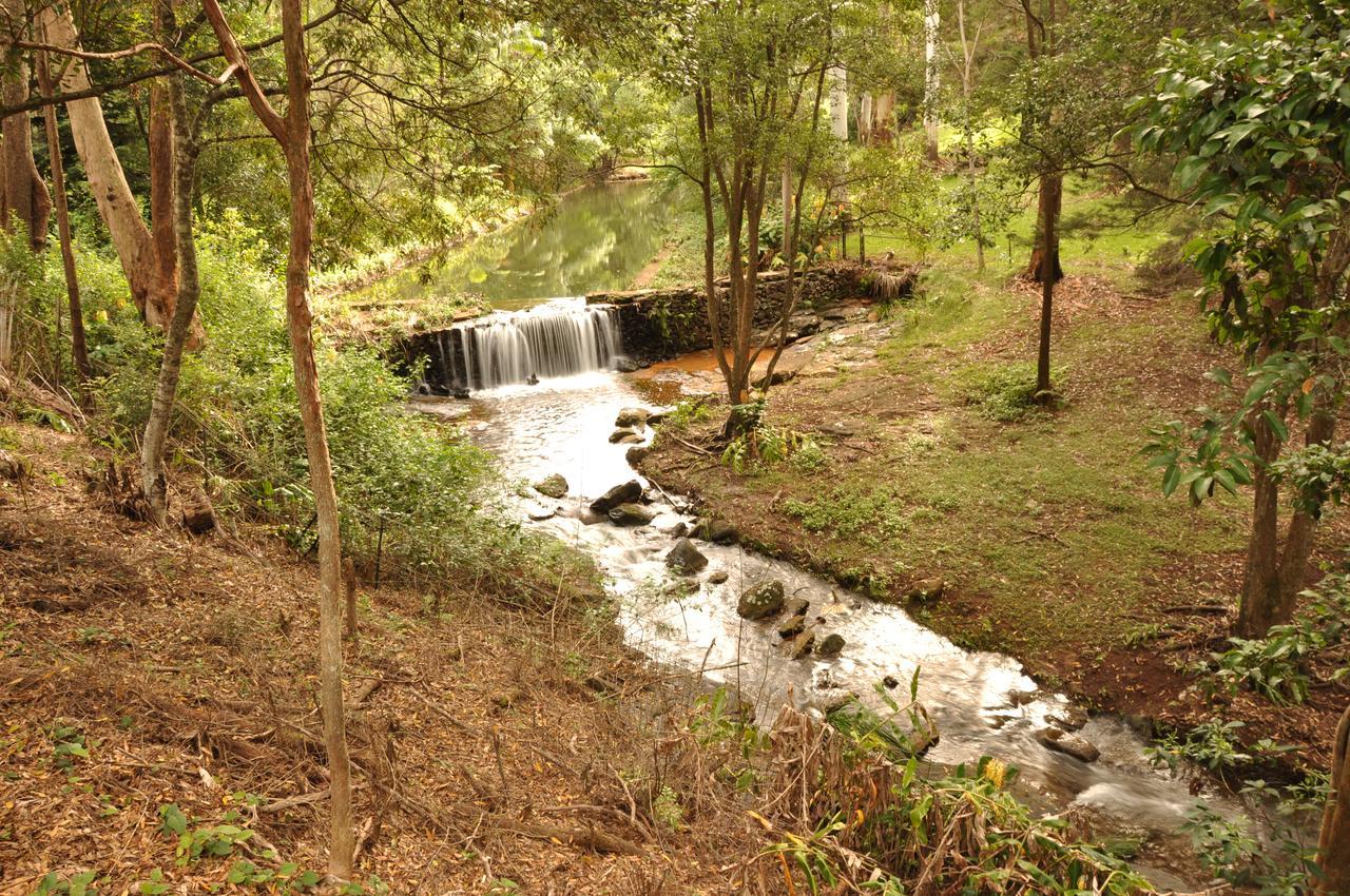 Escarpment Retreat&Day Spa for Couples Mount Tamborine Exterior foto